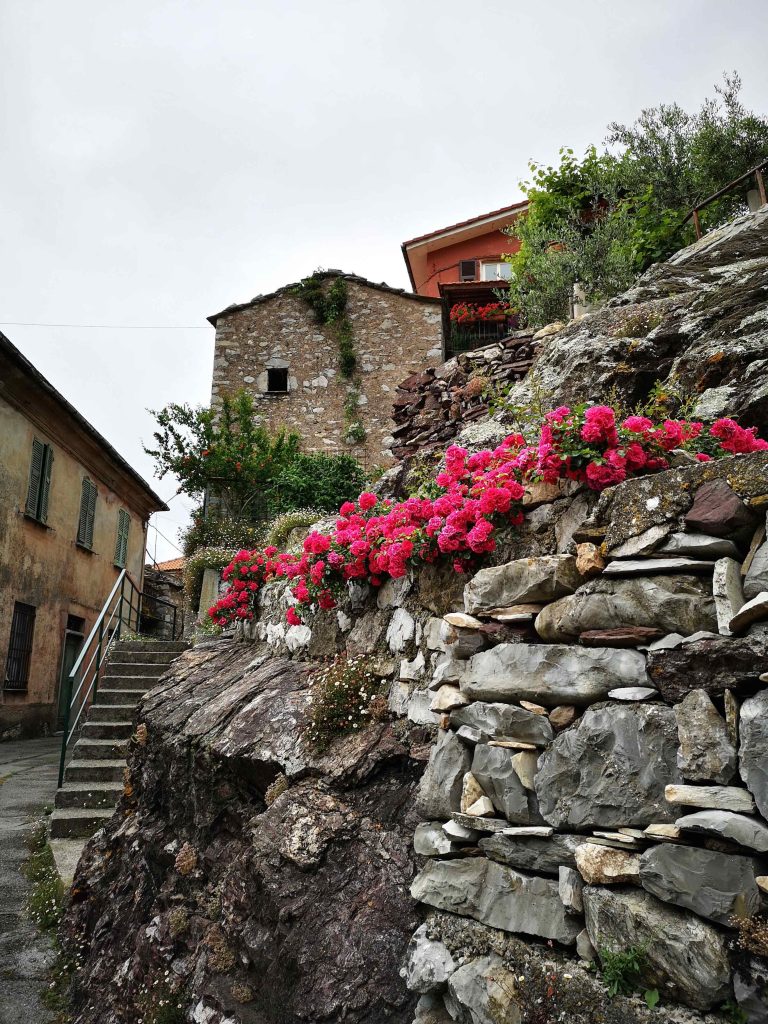 Nascio