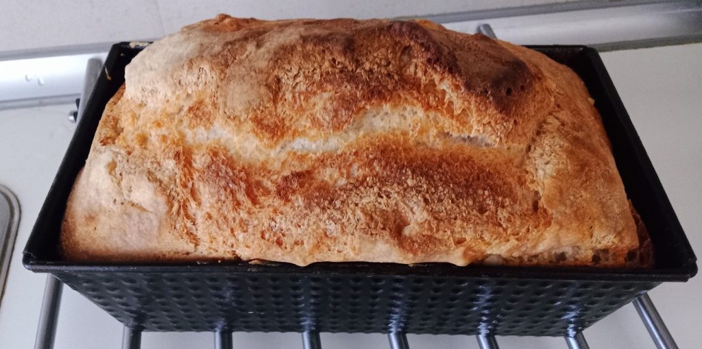Pane