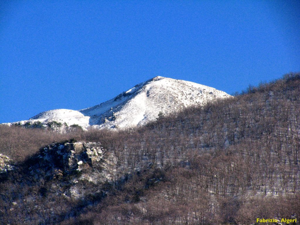 Monte